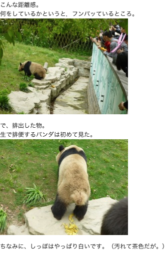 20120503-2.png